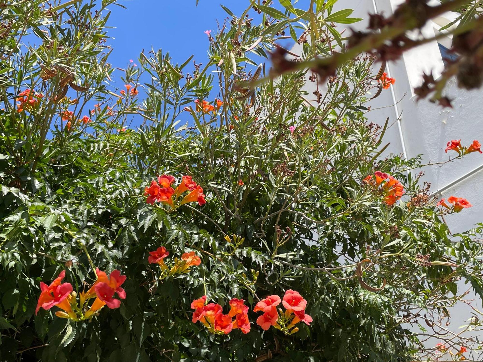 Galatea House Katoi With Patio Βίλα Kato Klisma Εξωτερικό φωτογραφία